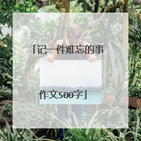 记一件难忘的事作文500字