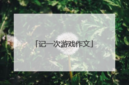 记一次游戏作文