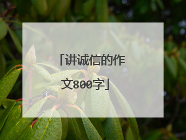 讲诚信的作文800字