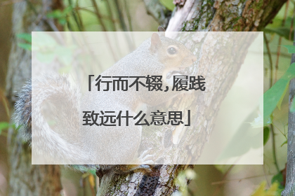 行而不辍,履践致远什么意思