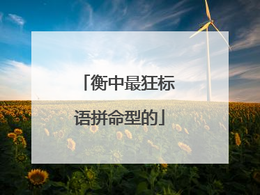 衡中最狂标语拼命型的