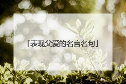 表现父爱的名言名句