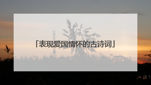 表现爱国情怀的古诗词