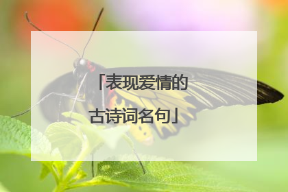 表现爱情的古诗词名句