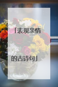表现亲情的古诗句