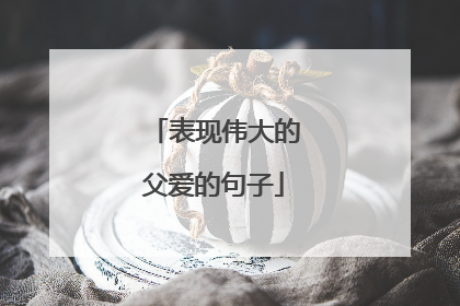 表现伟大的父爱的句子