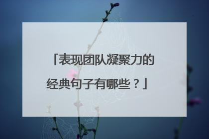 表现团队凝聚力的经典句子有哪些?