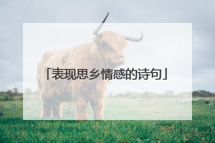 表现思乡情感的诗句