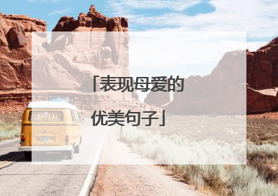 表现母爱的优美句子