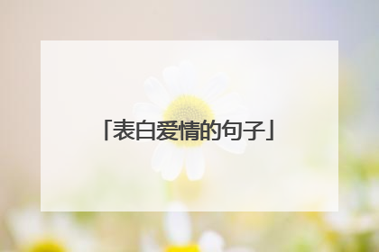 表白爱情的句子