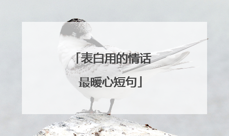 表白用的情话 最暖心短句