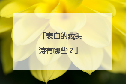 表白的藏头诗有哪些？