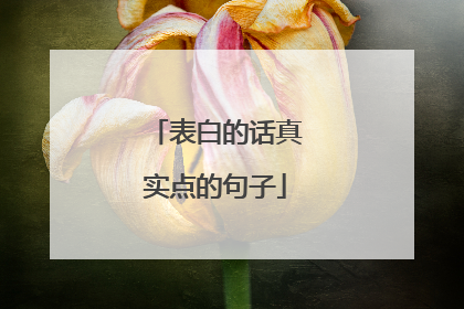 表白的话真实点的句子