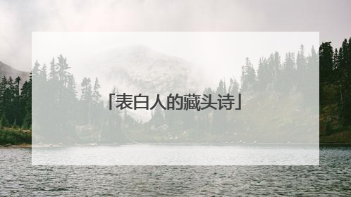 表白人的藏头诗