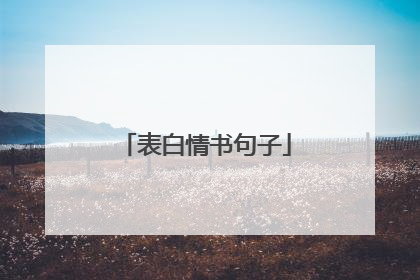 表白情书句子