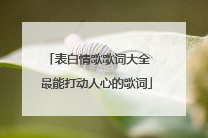 表白情歌歌词大全 最能打动人心的歌词