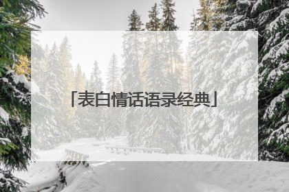 表白情话语录经典