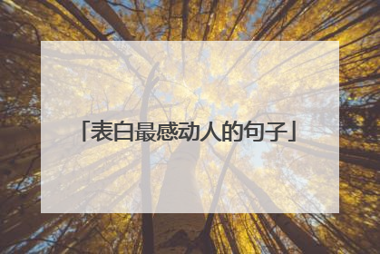 表白最感动人的句子