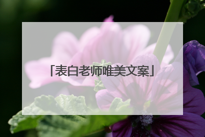 表白老师唯美文案