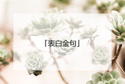 表白金句