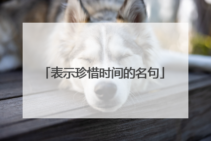 表示珍惜时间的名句