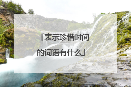 表示珍惜时间的词语有什么
