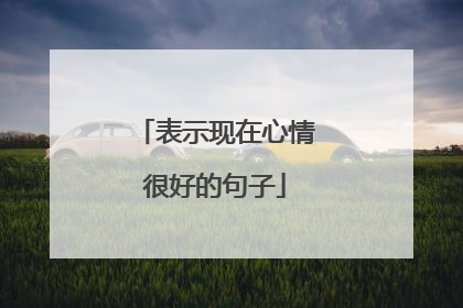 表示现在心情很好的句子