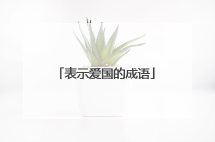 表示爱国的成语