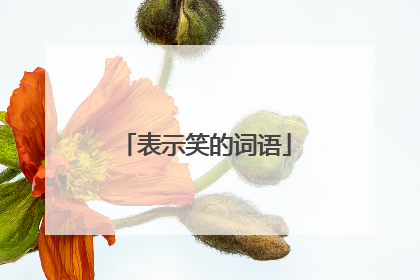 表示笑的词语