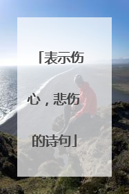 表示伤心,悲伤的诗句