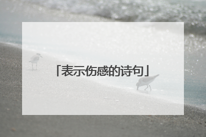 表示伤感的诗句