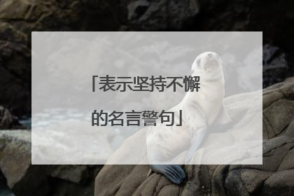 表示坚持不懈的名言警句
