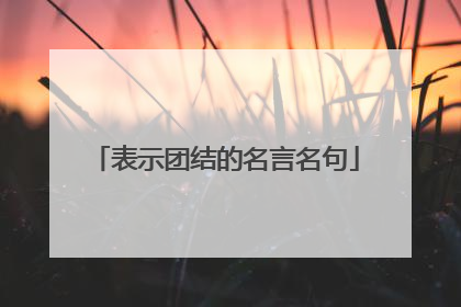表示团结的名言名句