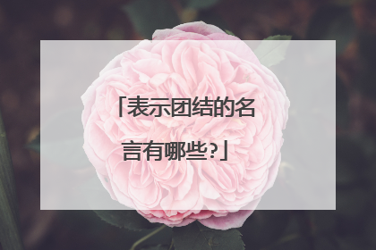 表示团结的名言有哪些?