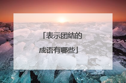 表示团结的成语有哪些