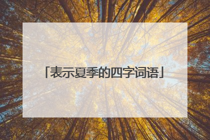 表示夏季的四字词语