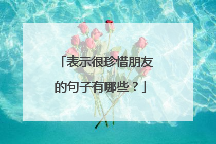 表示很珍惜朋友的句子有哪些？