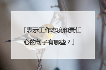 表示工作态度和责任心的句子有哪些？