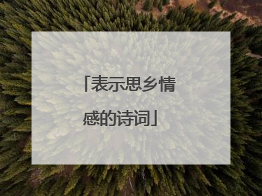 表示思乡情感的诗词