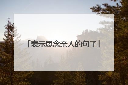 表示思念亲人的句子