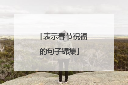 表示春节祝福的句子锦集