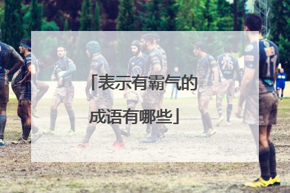 表示有霸气的成语有哪些