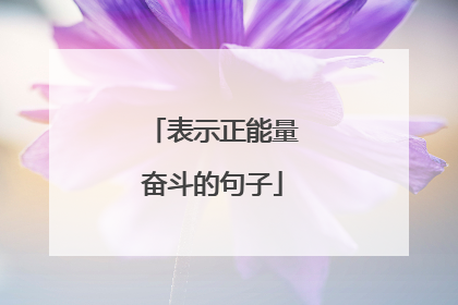 表示正能量奋斗的句子