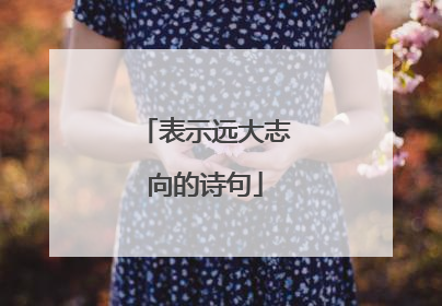 表示远大志向的诗句