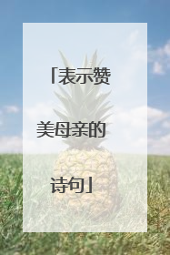 表示赞美母亲的诗句