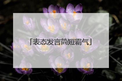 表态发言简短霸气