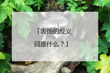 表扬的反义词是什么？
