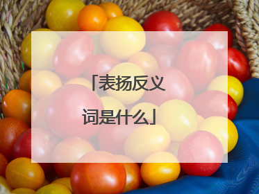 表扬反义词是什么