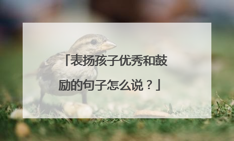 表扬孩子优秀和鼓励的句子怎么说？