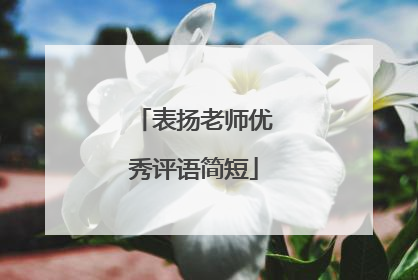表扬老师优秀评语简短